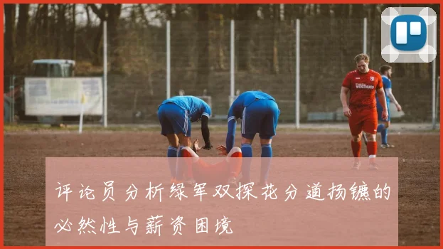 评论员分析绿军双探花分道扬镳的必然性与薪资困境