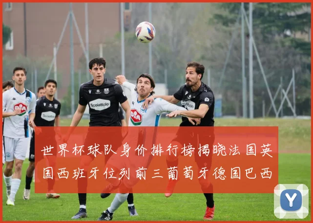 世界杯球队身价排行榜揭晓法国英国西班牙位列前三葡萄牙德国巴西身价均超九亿欧元